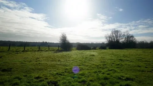 91免费自然风光视频素材分类